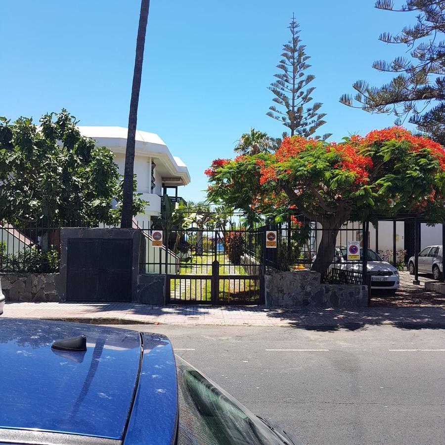 Algas 1 Etage * Maspalomas (Gran Canaria)