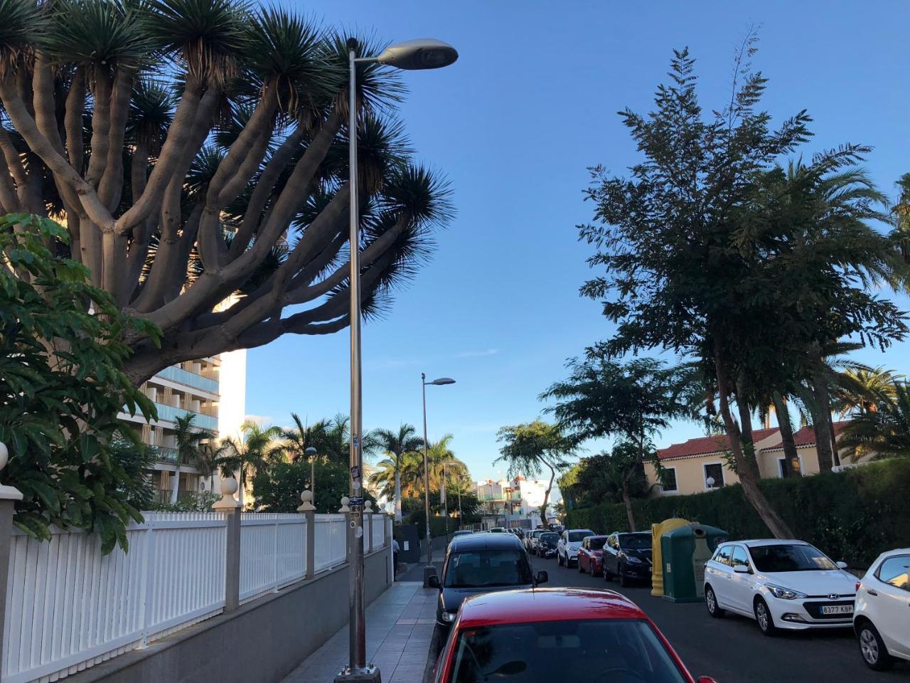 Apartamento Ansite Planta Baja Playa Del Inlges Apartment