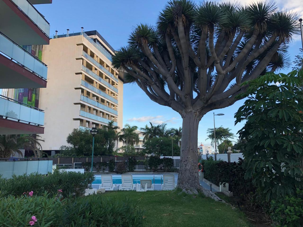 Apartment Apartamento Ansite Planta Baja Playa Del Inlges Maspalomas (Gran Canaria)