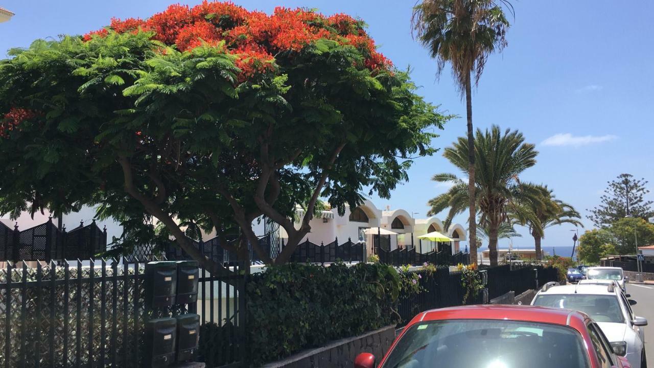 Apartamento La Alhambra Iii San Agustin Maspalomas (Gran Canaria)