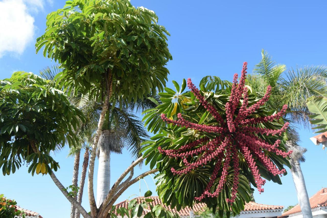 Parque Golf Fresh Maspalomas (Gran Canaria)
