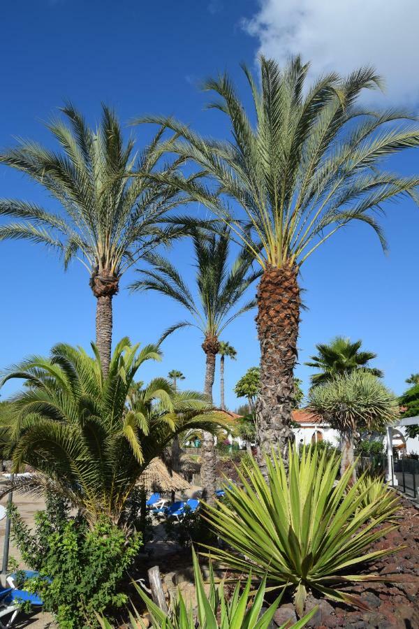 Parque Golf Fresh Apartment