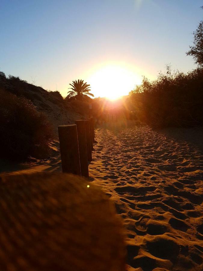Playmar *