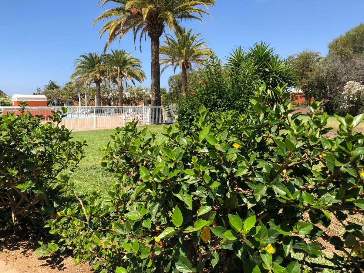 Tc Melocotones 15 Campsite Maspalomas (Gran Canaria)