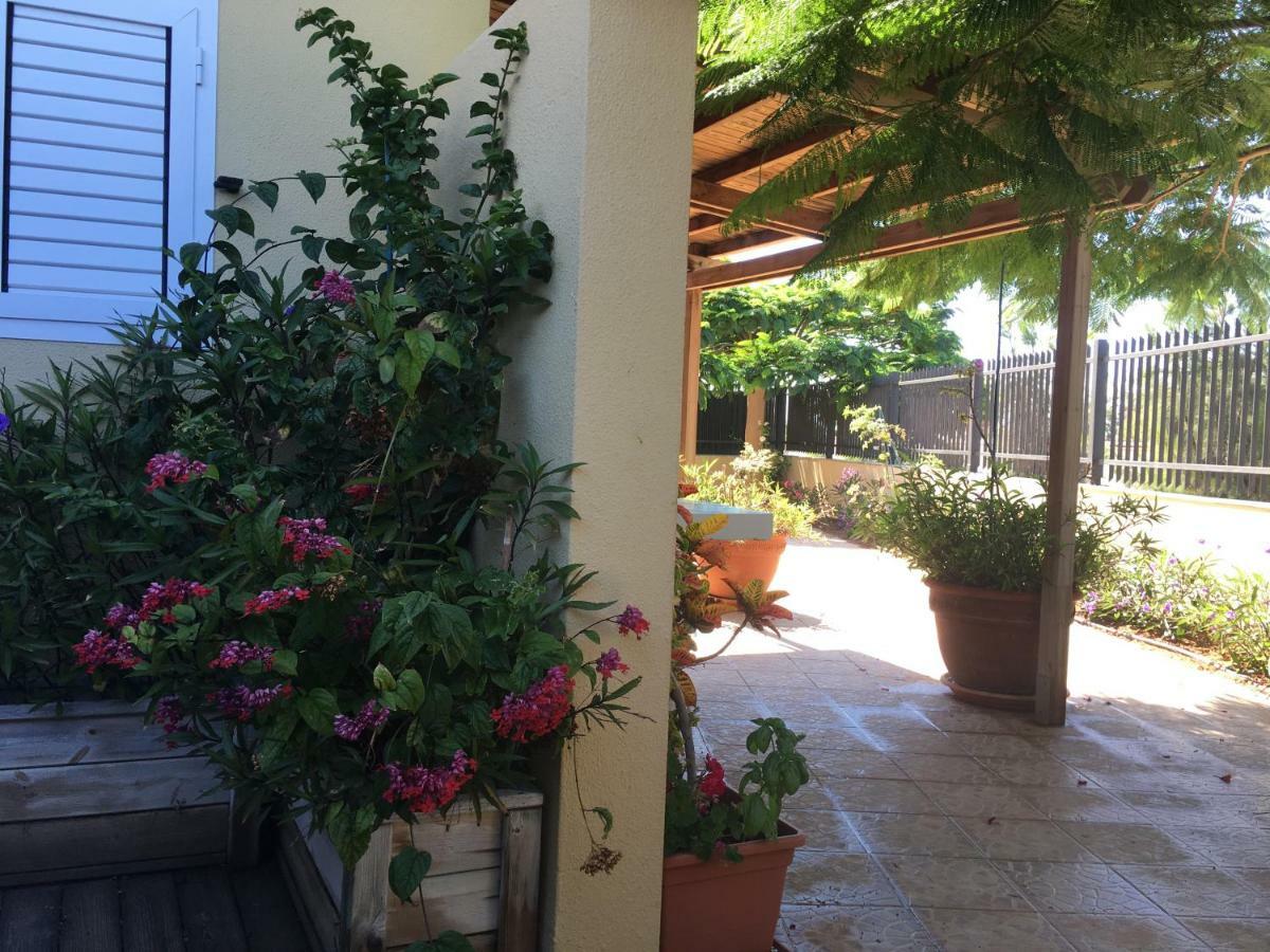 Vivienda Velas Loma-asunnot