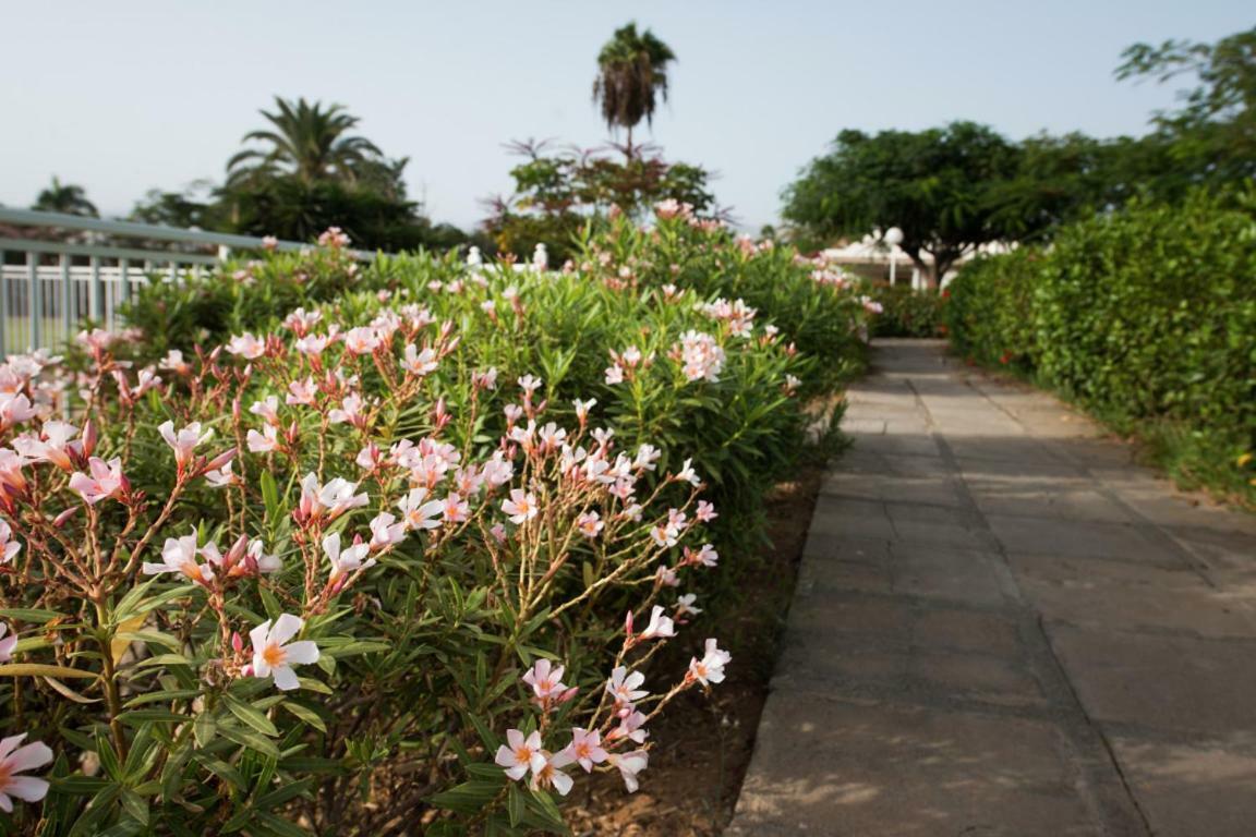 Maspalomas Los Melocotones, Maspalomas Golf * Maspalomas (Gran Canaria)