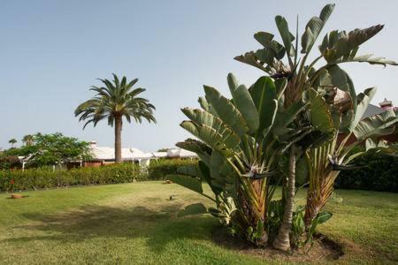 Apartment Maspalomas Los Melocotones, Maspalomas Golf