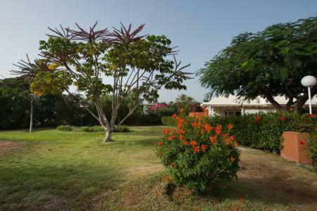 Maspalomas Los Melocotones, Maspalomas Golf Apartment