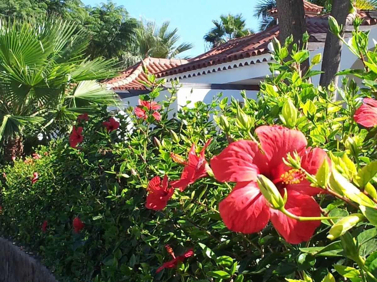 Parque Golf Maspalomas Apartment