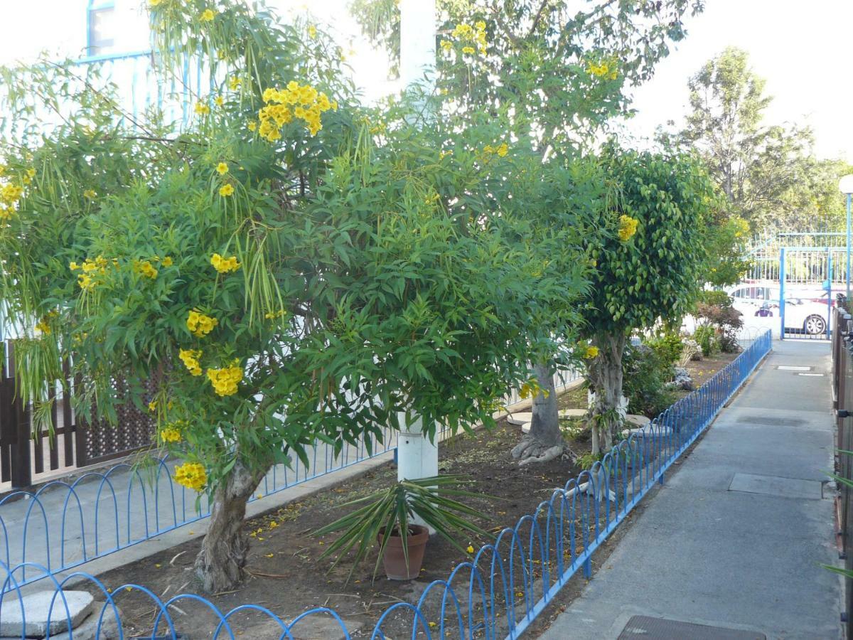 Casa Gio Playmar Maspalomas (Gran Canaria)