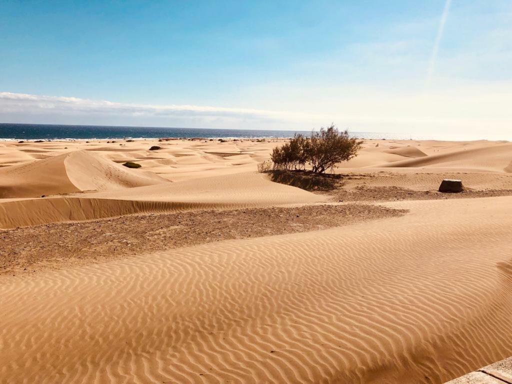 Guest house Maspalomas