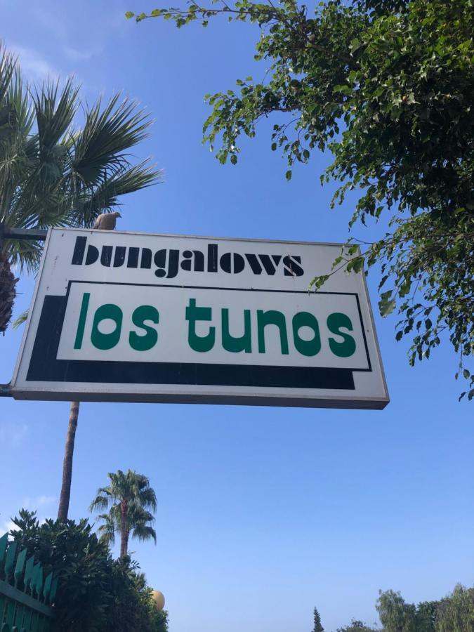 Los Tunos Campo Internacional * Maspalomas (Gran Canaria)