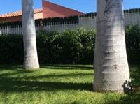 Villa Maspalomas Maspalomas (Gran Canaria)