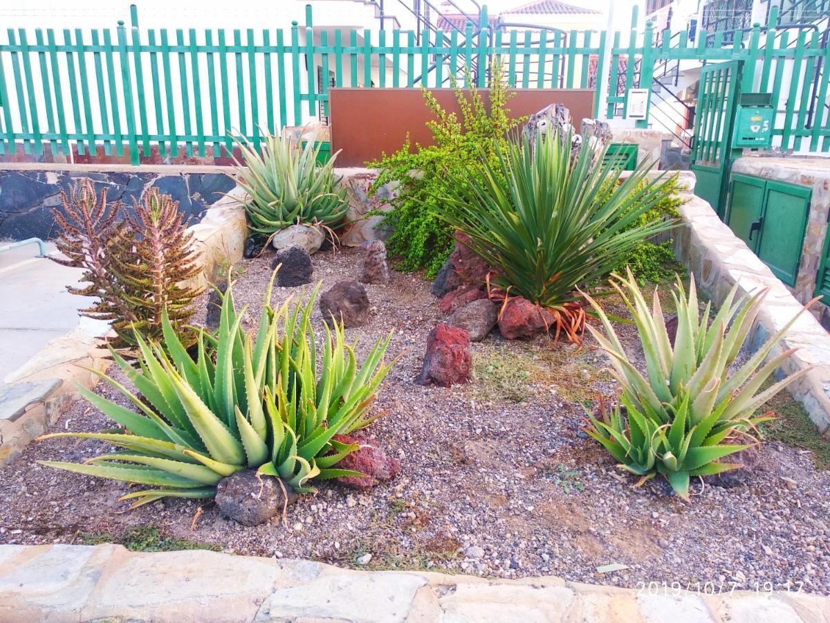 Calma Maspalomas