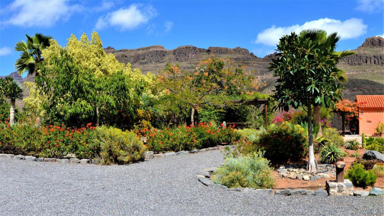 Holiday home Olivas - Unique With Heated Pool Maspalomas (Gran Canaria)