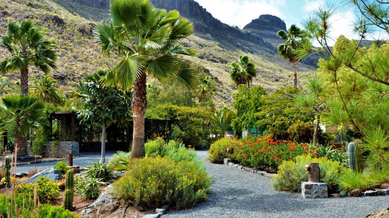 Olivas - Unique With Heated Pool Maspalomas (Gran Canaria)