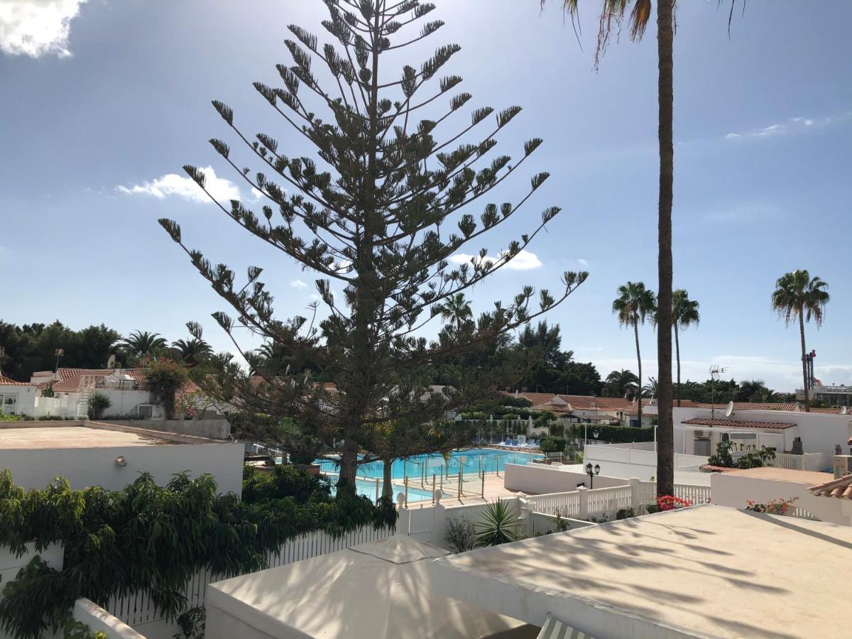 Palmera