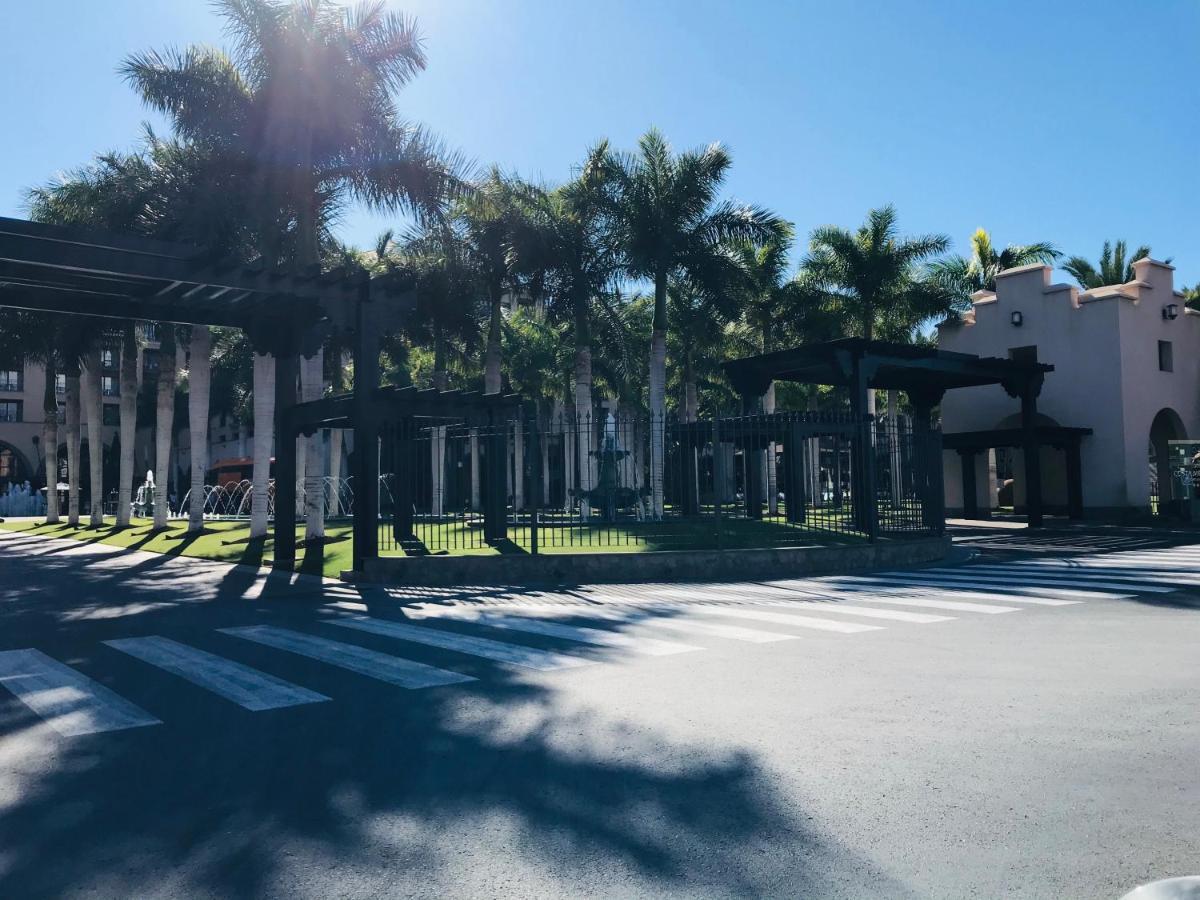 Palmeral Oasis
