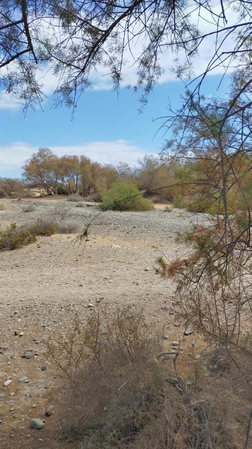 Doranda Maspalomas Loma-asunnot Maspalomas (Gran Canaria)