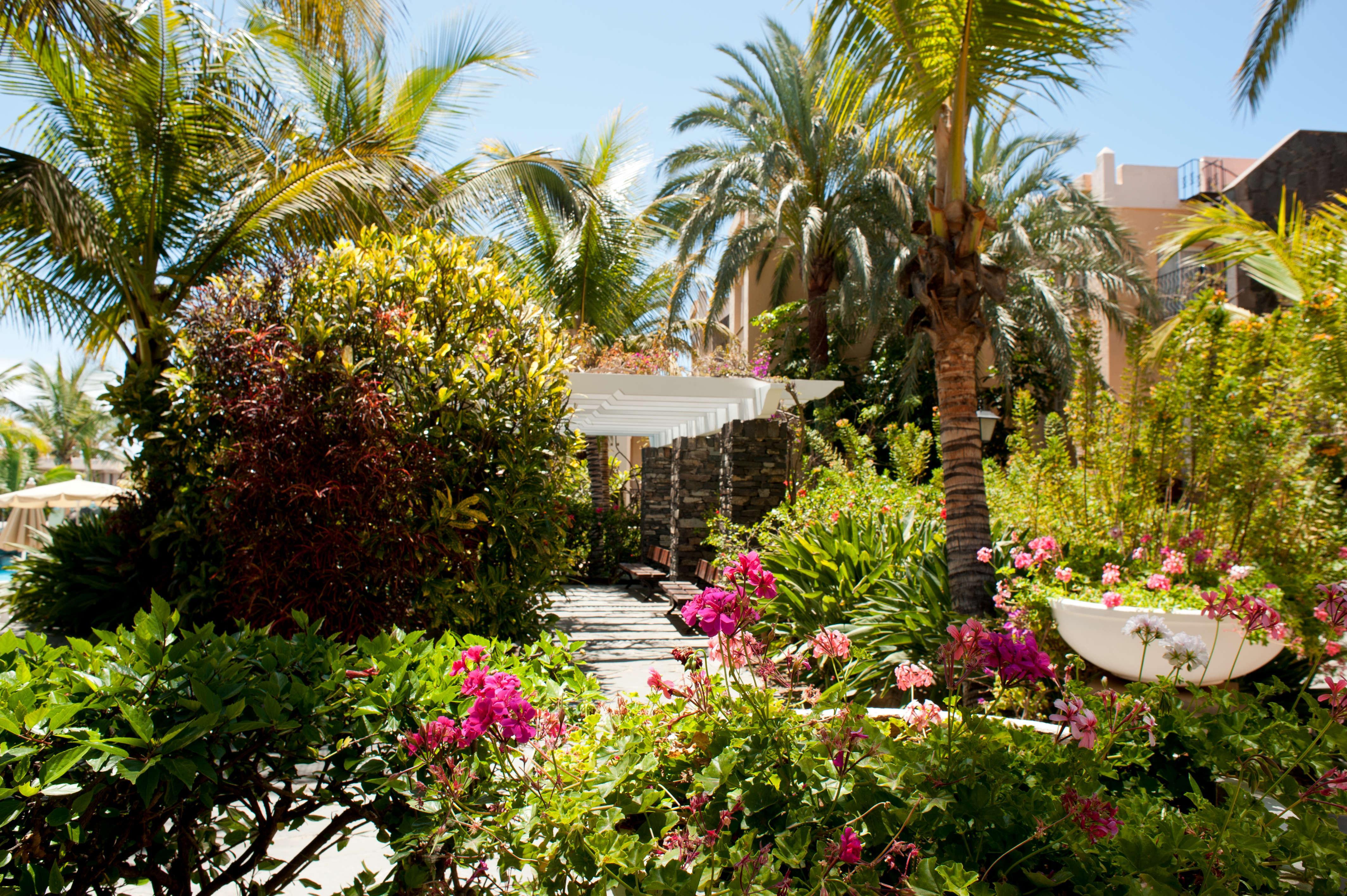 Palm Oasis Maspalomas Maspalomas (Gran Canaria)