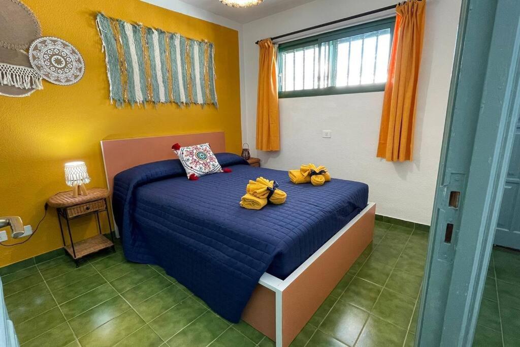 Surycan El Dorado Apartment