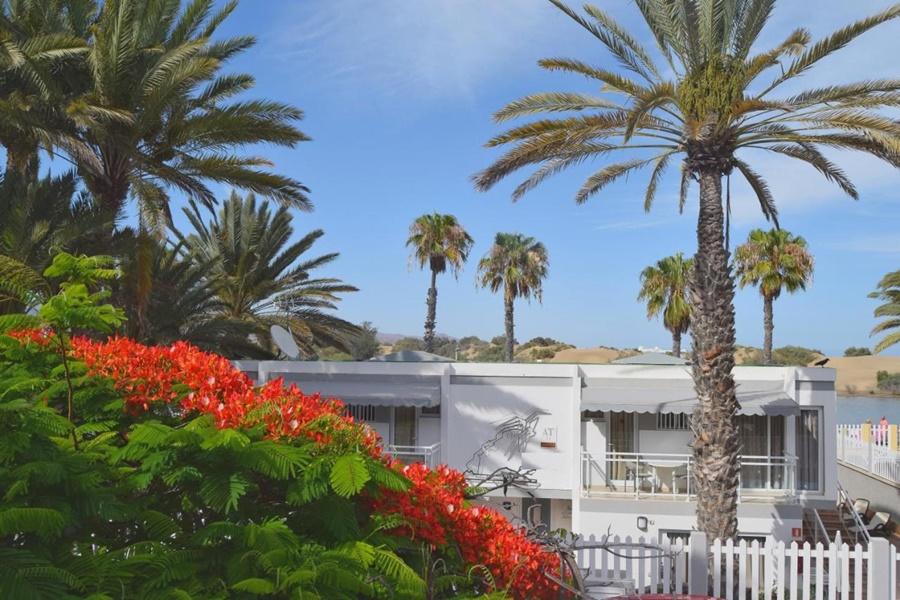 Apartment Dunaoasis Maspalomas (Gran Canaria)