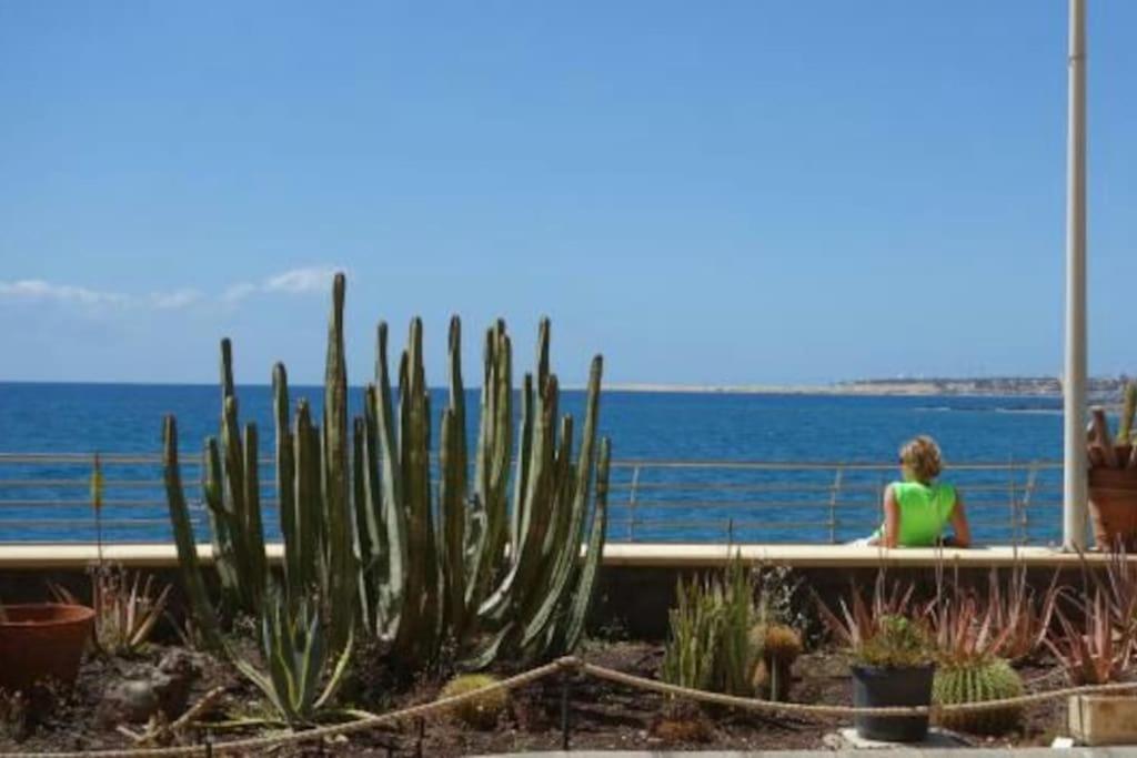 Apartment Infinity Ocean 1st Line San Agustin Maspalomas (Gran Canaria)