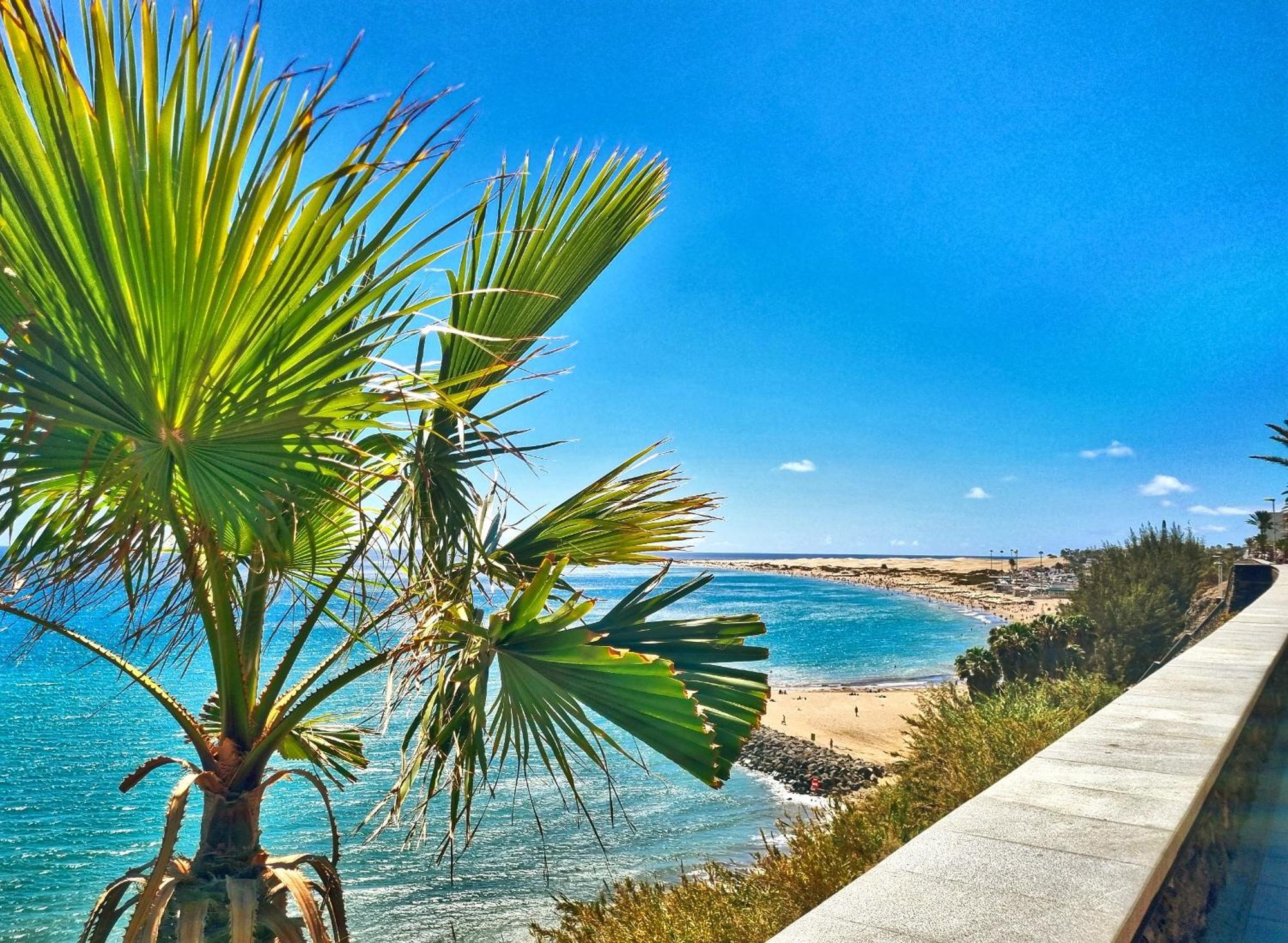 Sol Oceano Appartement