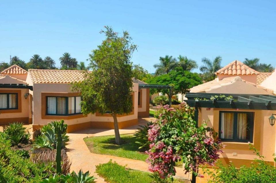 Hotelli Club Calimera Esplendido 3*