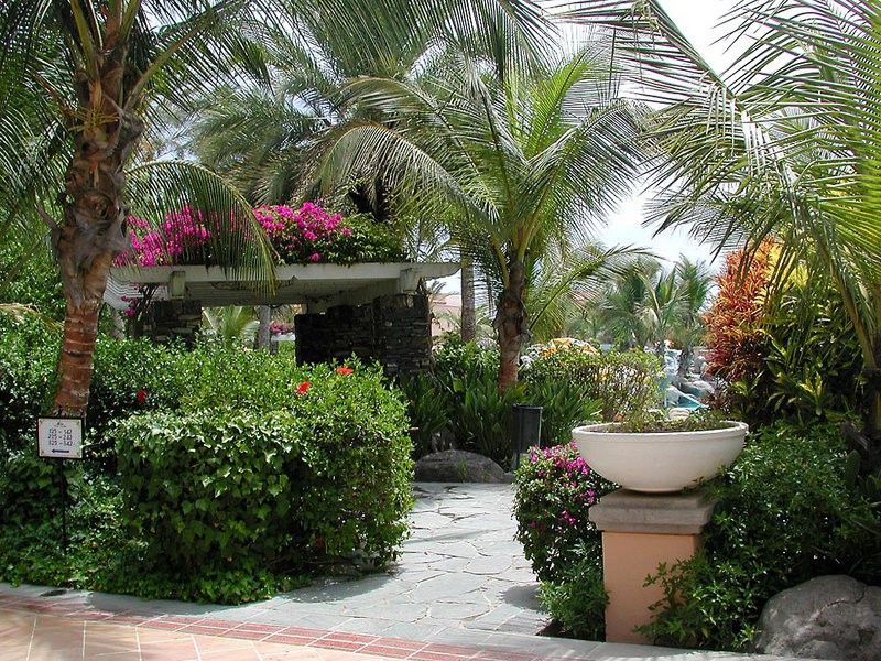 Hotel Palm Oasis Maspalomas 3*