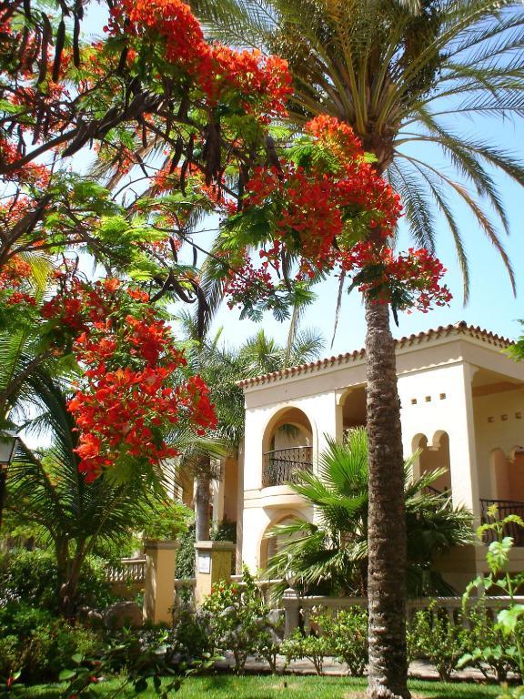Palm Oasis Maspalomas